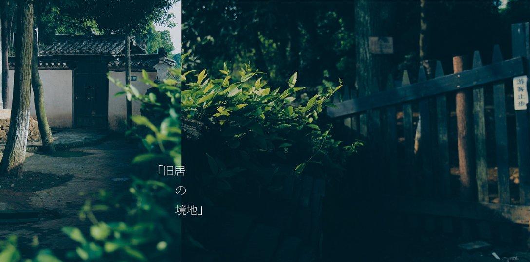 破碎的动物图形3